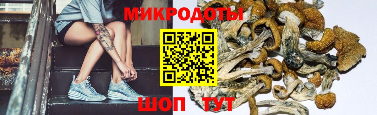 Псилоцибиновые грибы мицелий  Вход с VPN  Сургут 